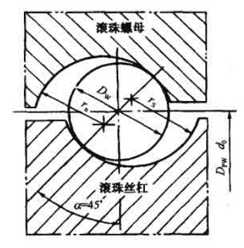 雙圓弧形